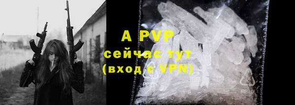 прущие грибы Майский
