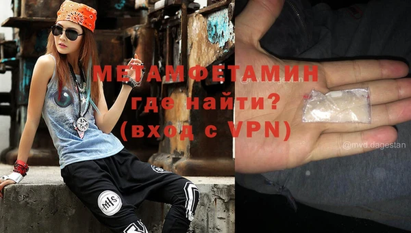 прущие грибы Майский