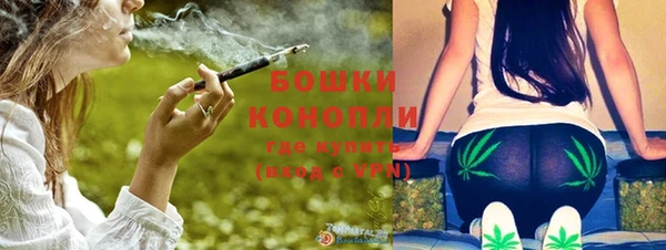 прущие грибы Майский