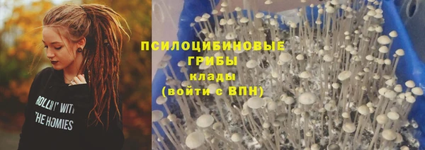 прущие грибы Майский