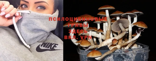 герыч Магас