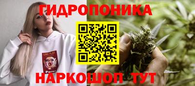 прущие грибы Ипатово