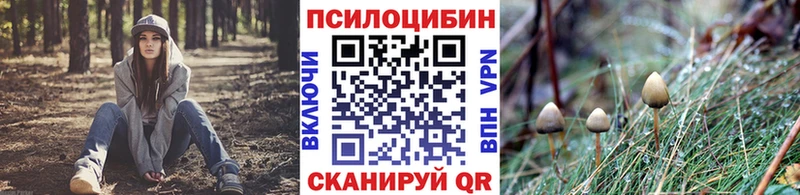 Псилоцибиновые грибы MAGIC MUSHROOMS  Серпухов 