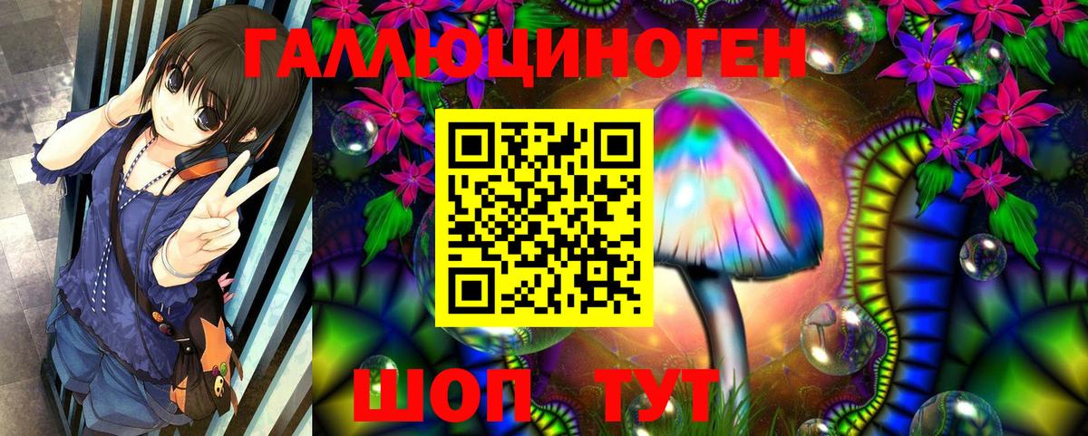 Галлюциногенные грибы Psilocybe  Вход с VPN  Серпухов 