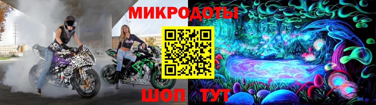 Галлюциногенные грибы Psilocybe Серпухов