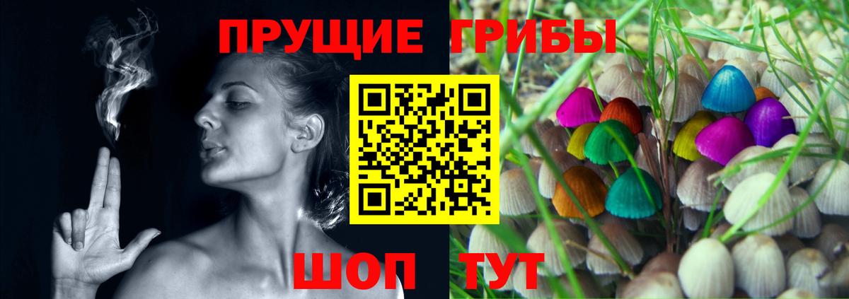 Галлюциногенные грибы Psilocybine cubensis Серпухов